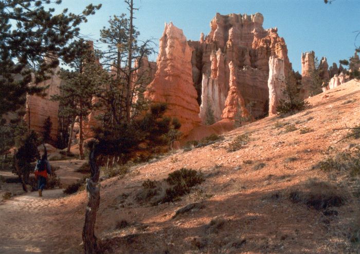 ../Images/114.Bryce Canjon.jpg